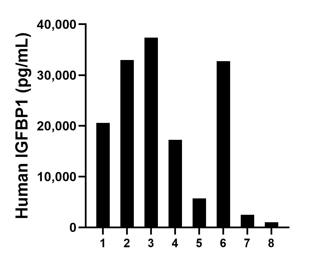 Serum of eight individual healthy human donors was measured. The IGFBP1 concentration of detected samples was determined to be 18,764.2 pg/mL with a range of 1,025.1 - 37,369.6 pg/mL.